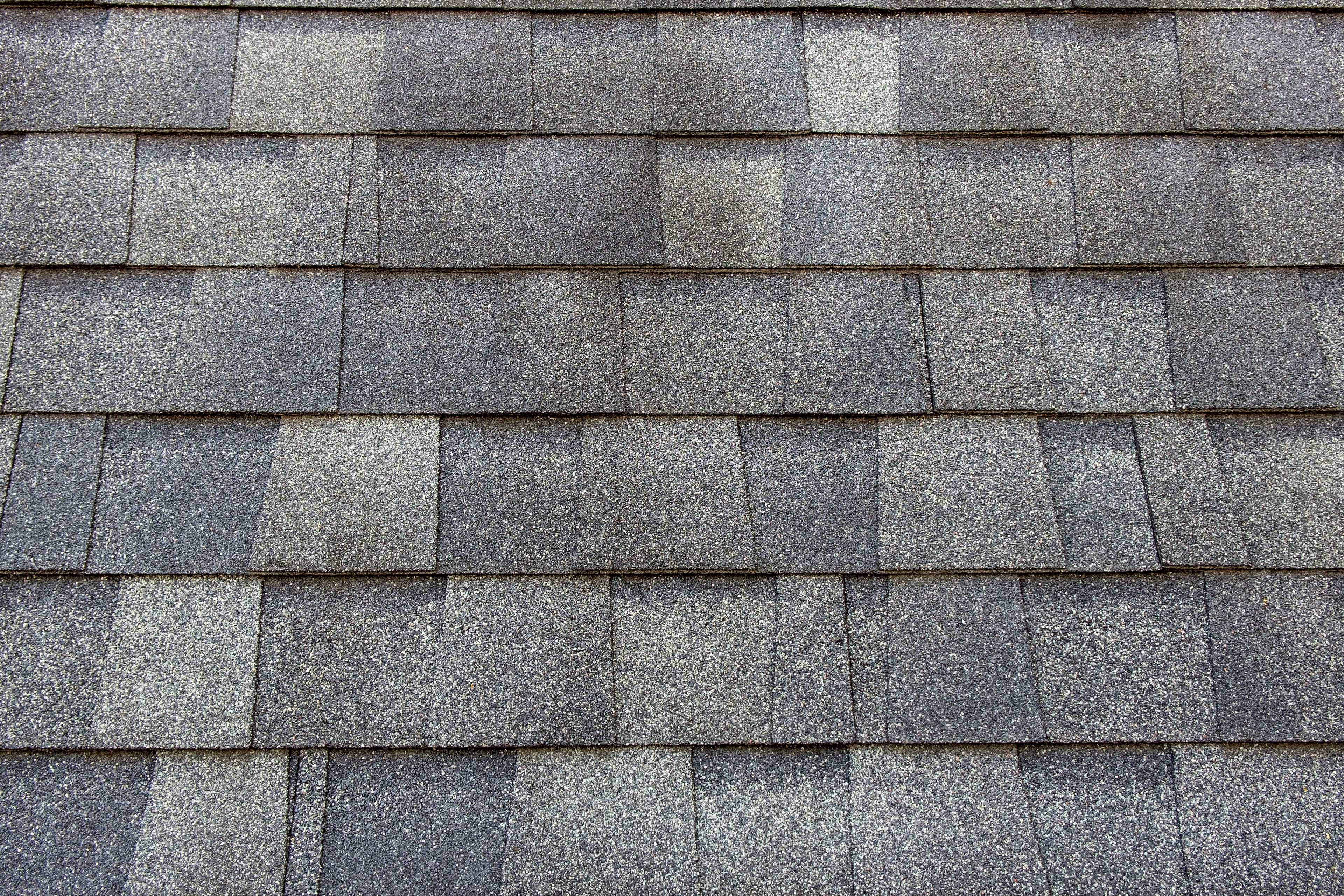 Aged asphalt shingle roof showing granule loss and curling.