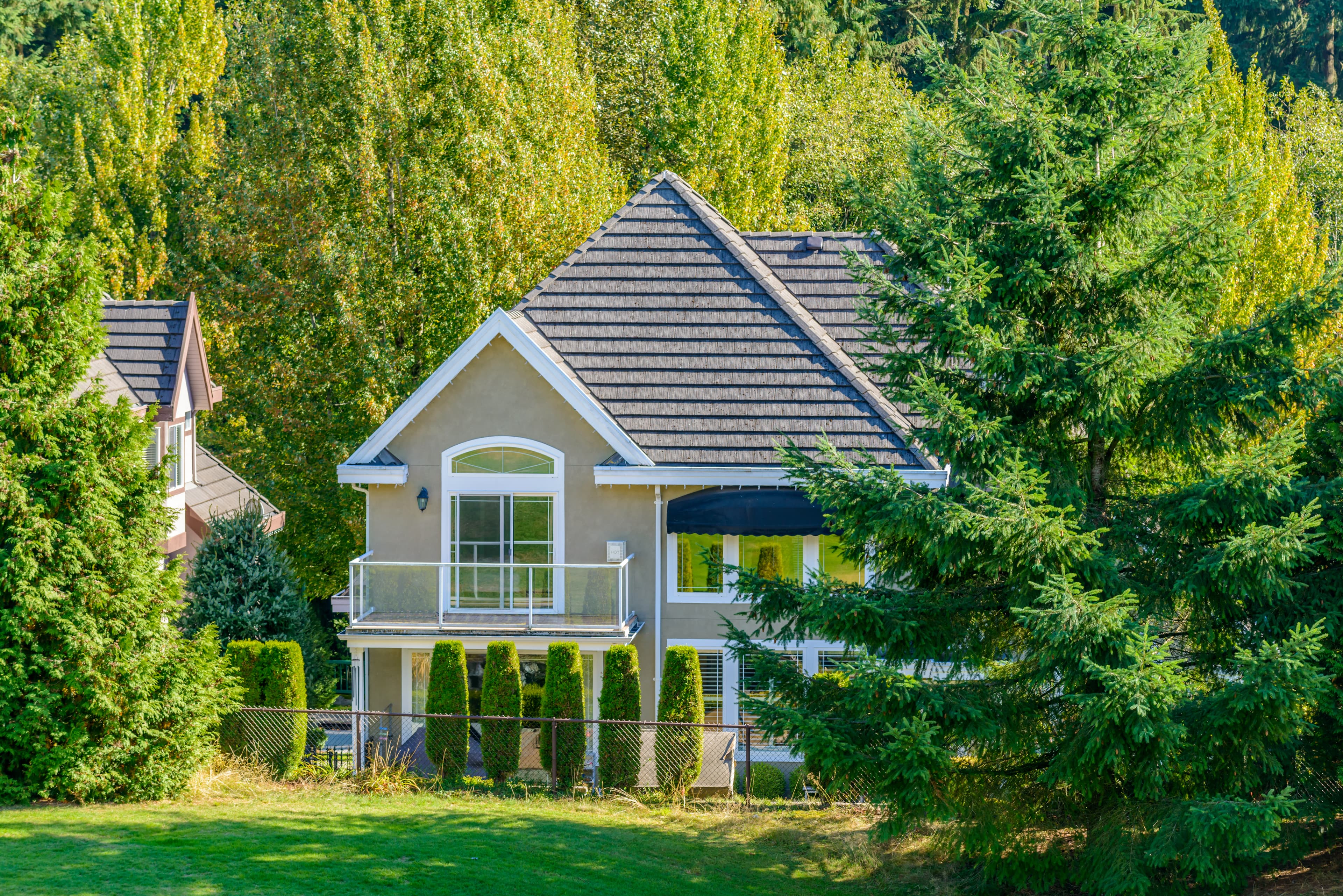 Home surrounded by mature trees representative of Creve Coeur, MO canopy.
