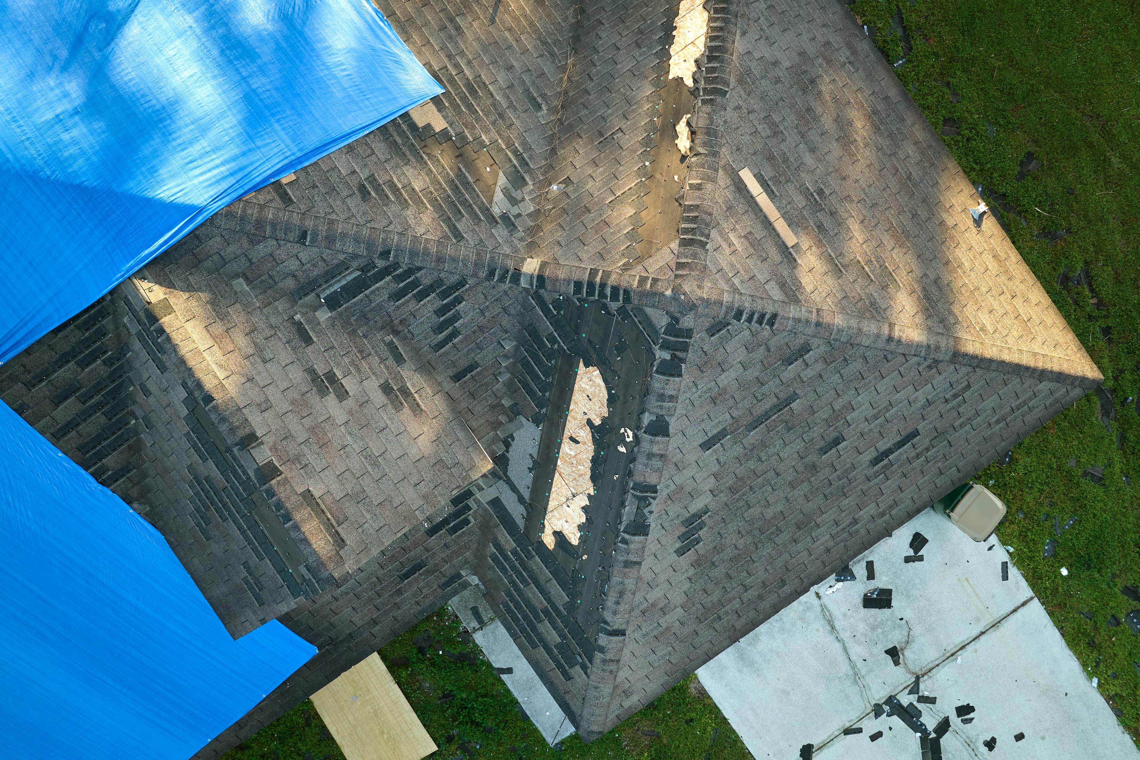 Hail and storm damage on residential asphalt shingles.